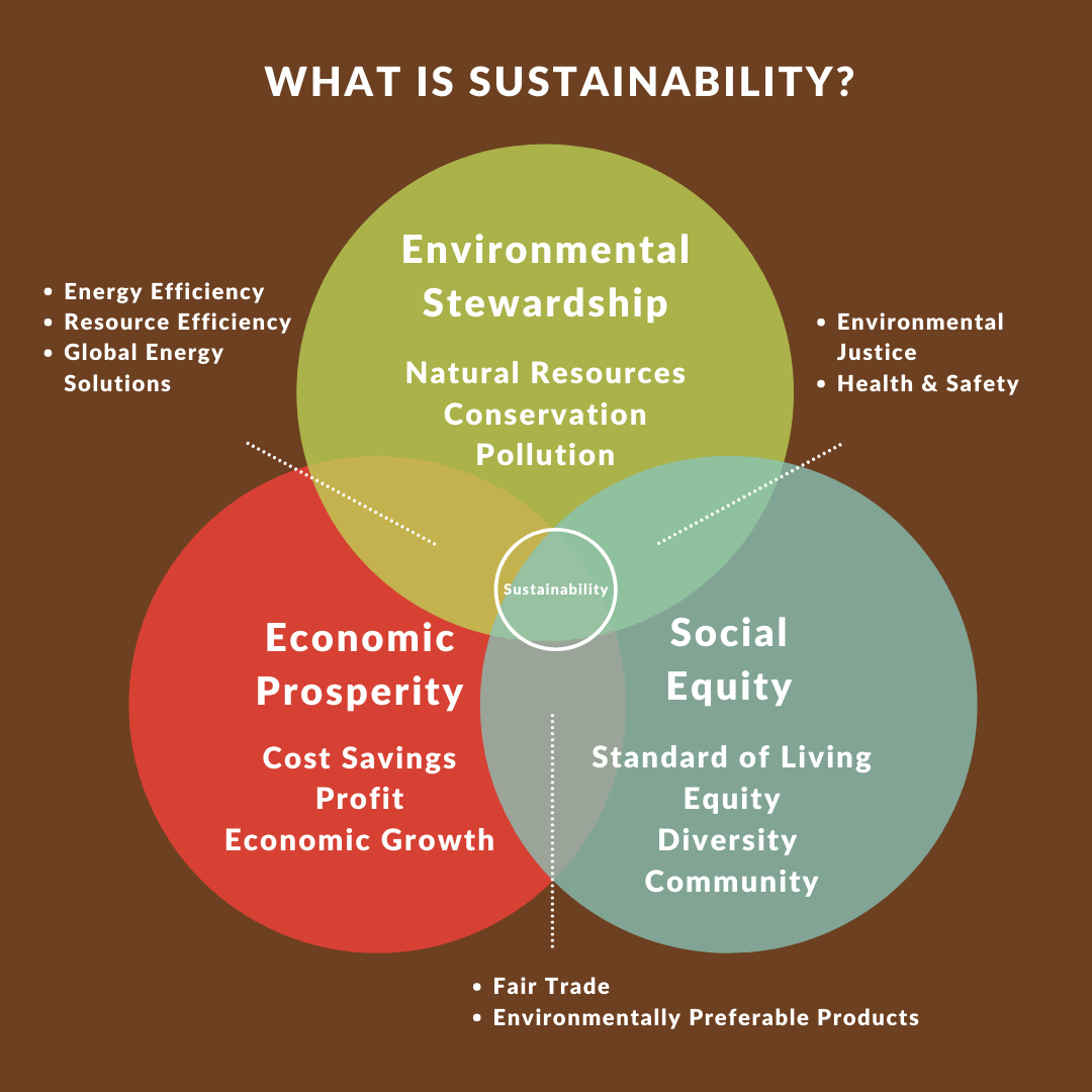 WHAT IS SUSTAINABILITY(1).png